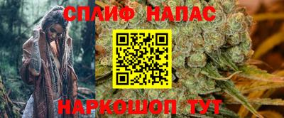 spice Тара