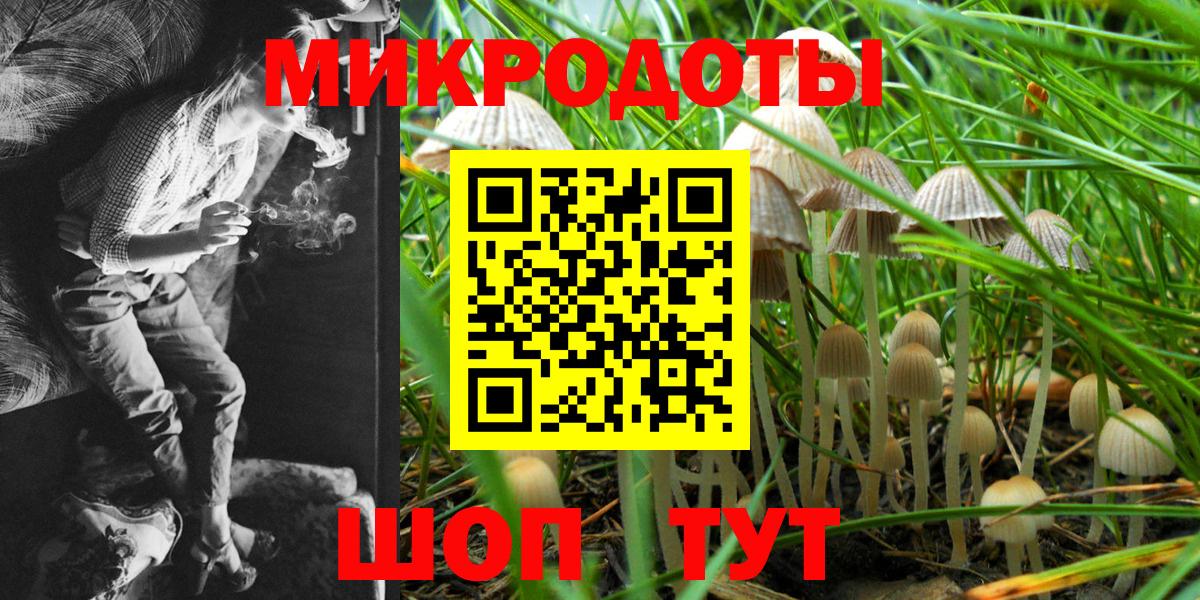 Новочебоксарск  Галлюциногенные грибы Psilocybe  Вход с VPN 